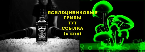 стаф Балахна