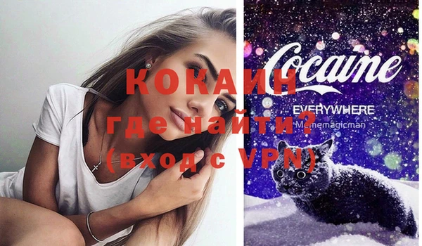 стаф Балахна