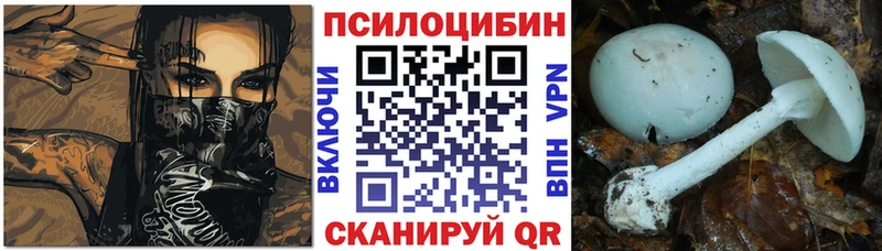 Псилоцибиновые грибы Psilocybine cubensis  Купить где  Кондопога 